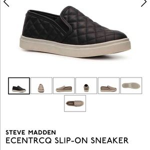 Steve Madden Ecentrcq